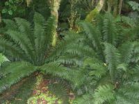 Albums/20060200-New Zealand 2006/20060207-South to Fox/26